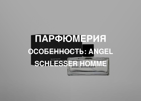 Особенность: Angel Schlesser Homme